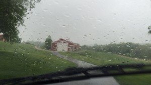 雨! 雨!