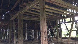 良質なオークが採れそうな物件 良質なオークが採れそうな物件